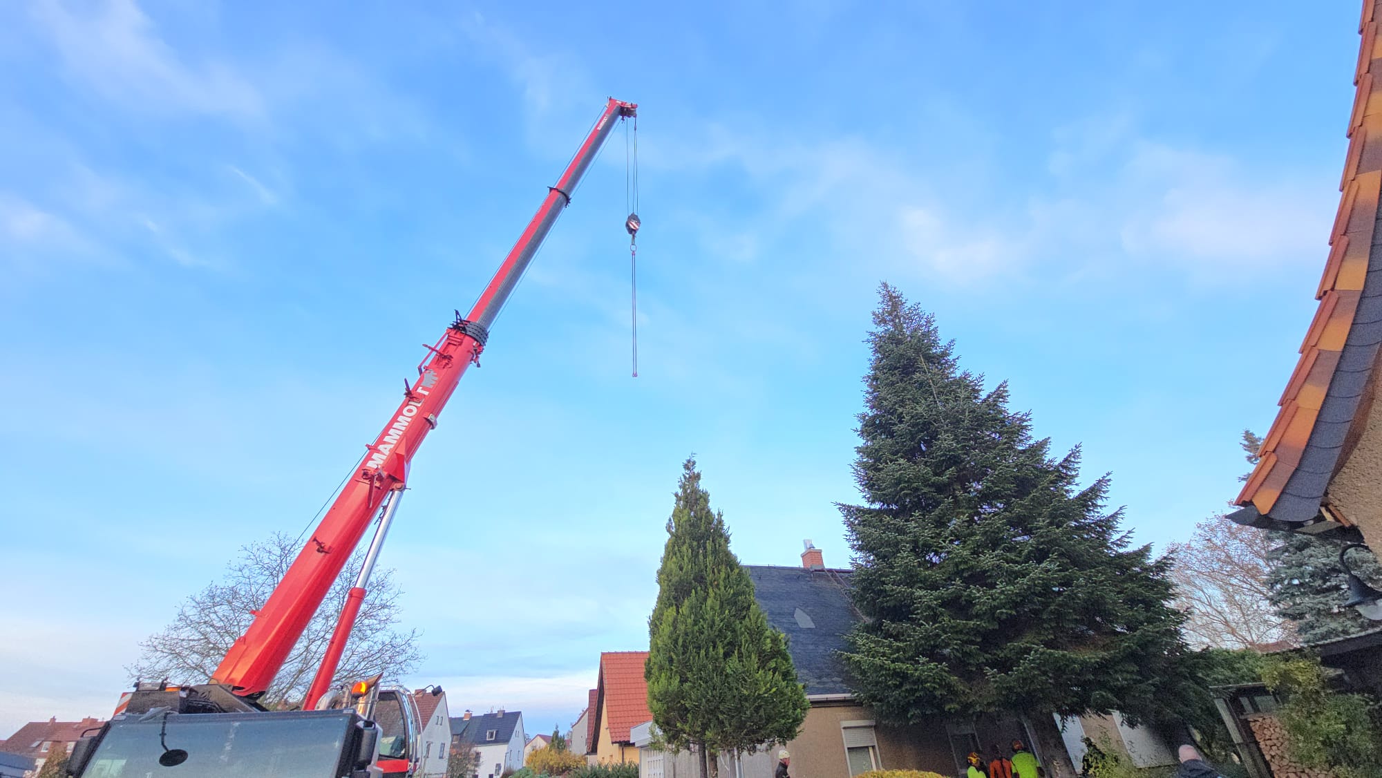 Weihnachtsbaum-in-der-Frohen-Zukunft-f-r-den-Weihnachtsmarkt-in-Halle-Saale-wird-gef-llt