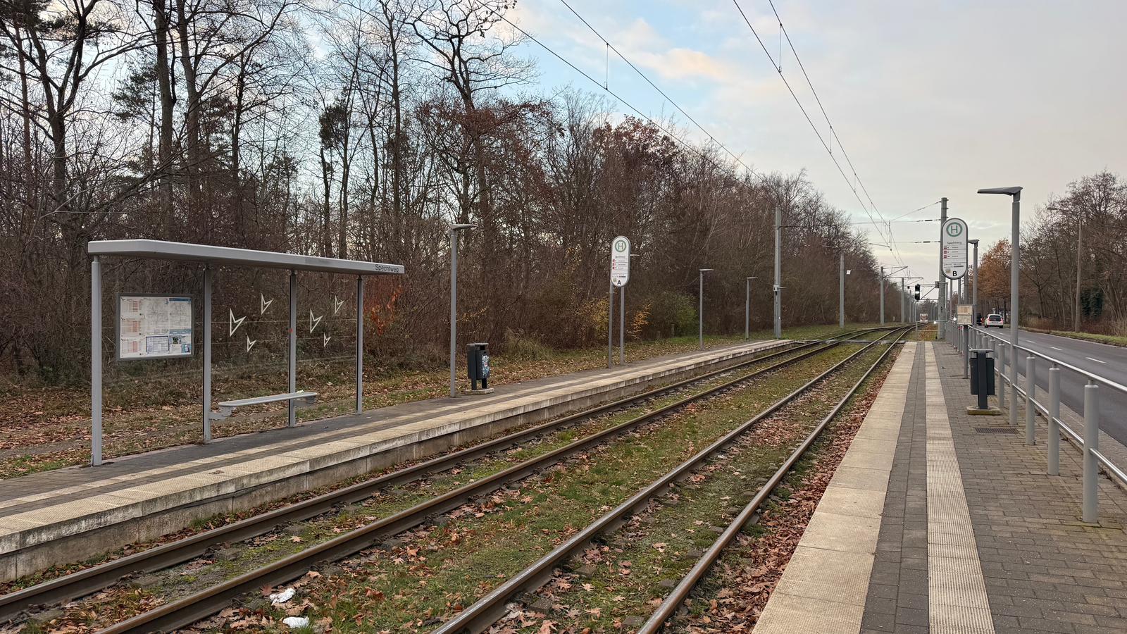 Haltestellen-in-Halle-als-Vogelkiller-Ausschuss-lehnt-Antrag-zur-Gestaltung-der-Glasscheiben-mit-Patt-ab