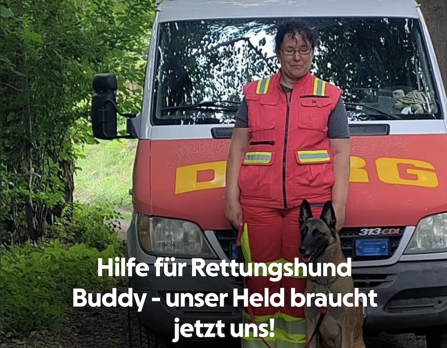 Rettungshund-Buddy-k-mpft-ums-berleben-DLRG-bittet-um-Unterst-tzung