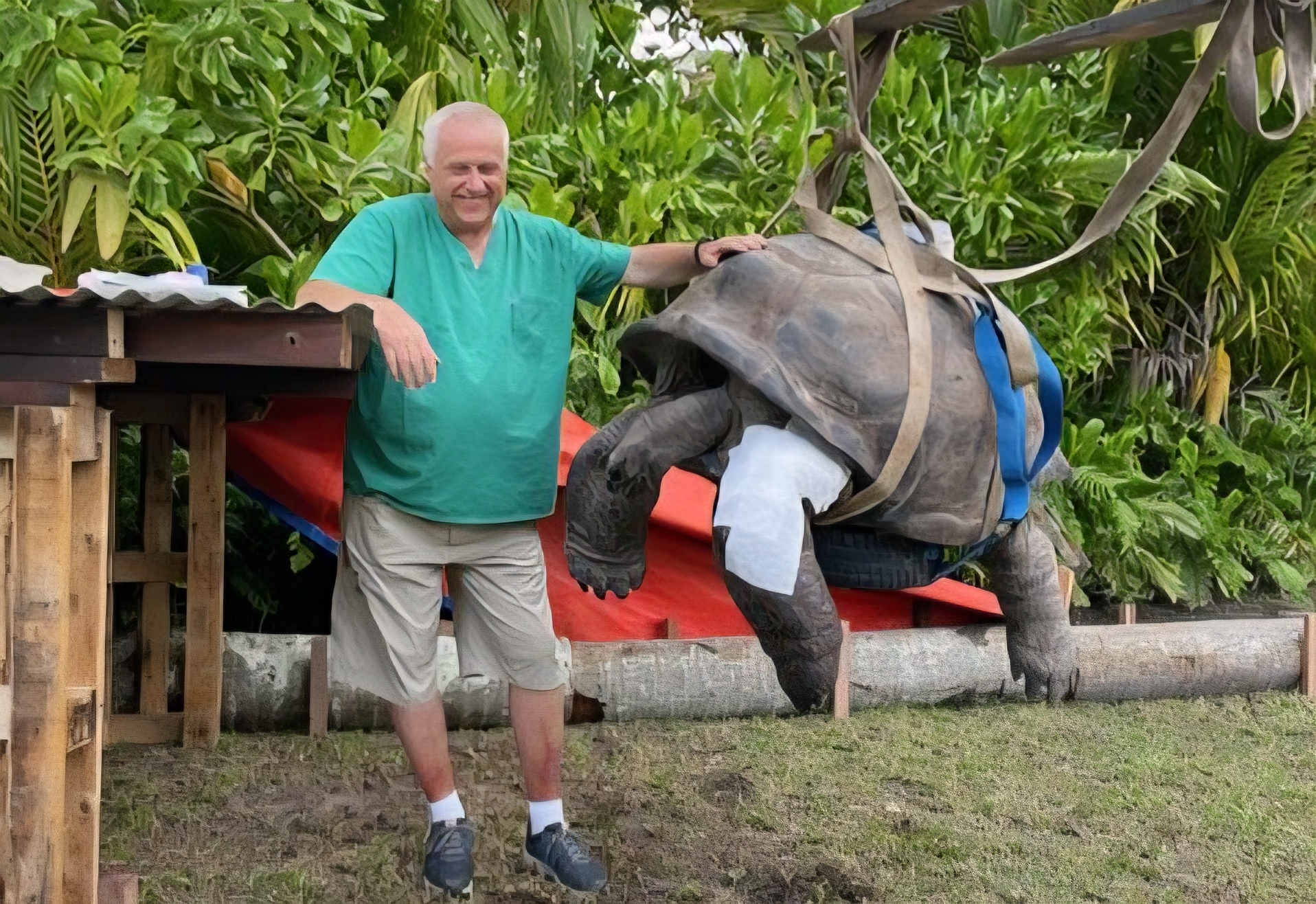 Hilfe-f-r-lebendes-Fossil-Chefarzt-vom-Elisabeth-Krankenhaus-an-Rettung-einer-135-Jahre-alten-Schildkr-te-beteiligt
