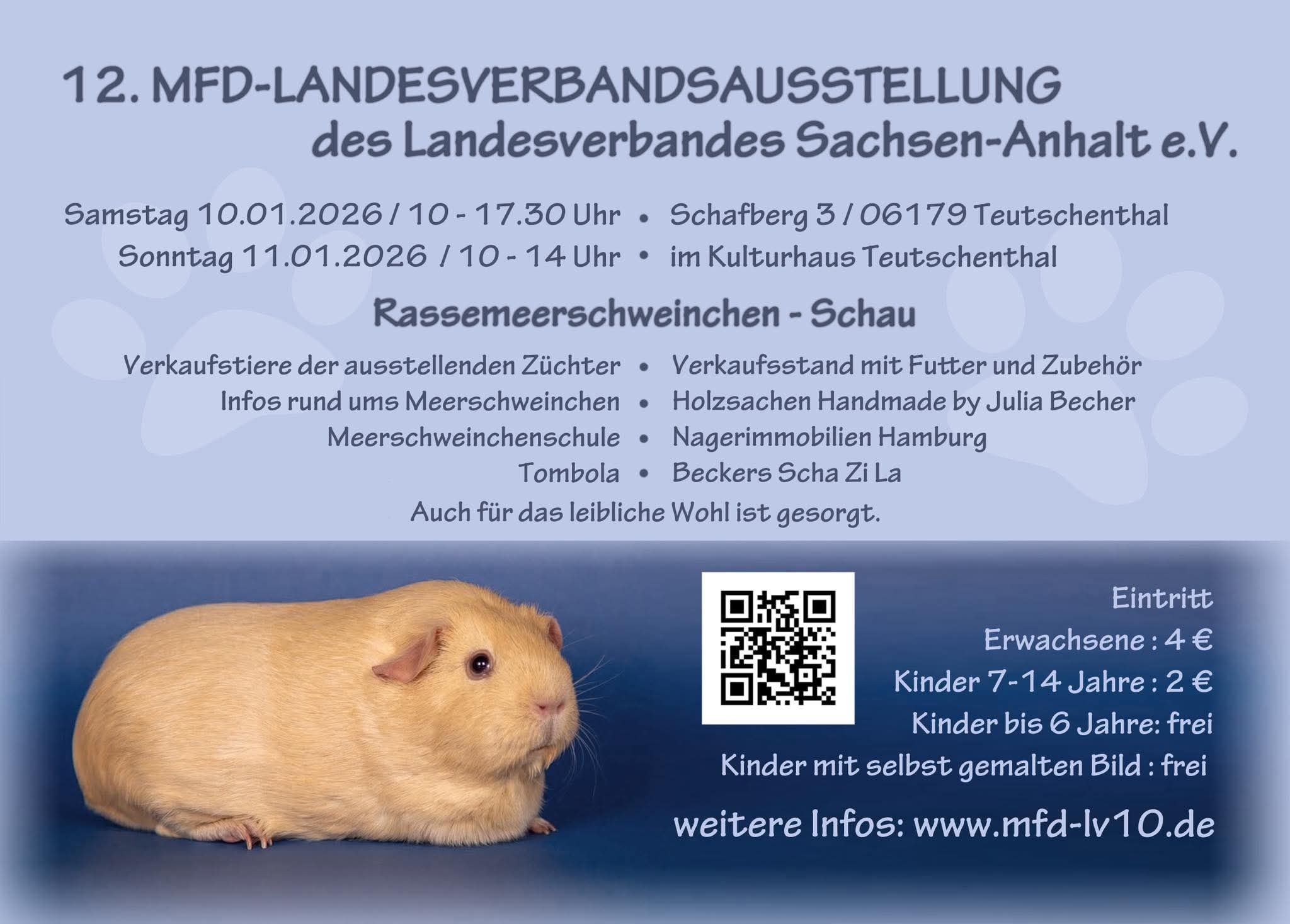 Teutschenthal-wird-am-n-chsten-Wochenende-zum-Treffpunkt-f-r-Meerschweinchenfreunde-aus-ganz-Sachsen-Anhalt