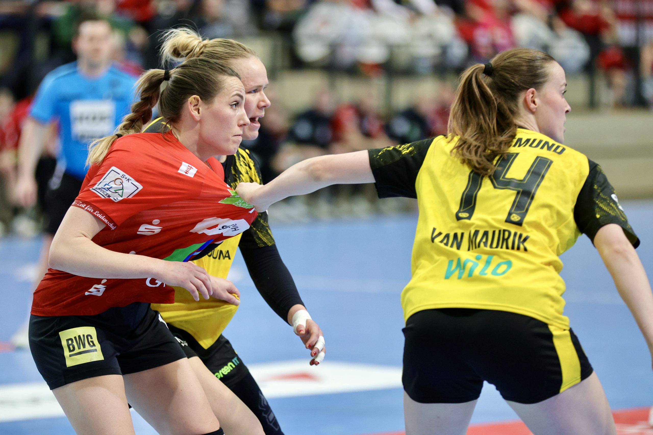 Niederlage-f-r-die-Wildcats-nach-Kampf-und-schwierigen-Voraussetzungen-gegen-den-BVB